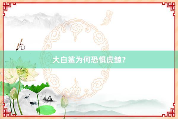 大白鲨为何恐惧虎鲸？